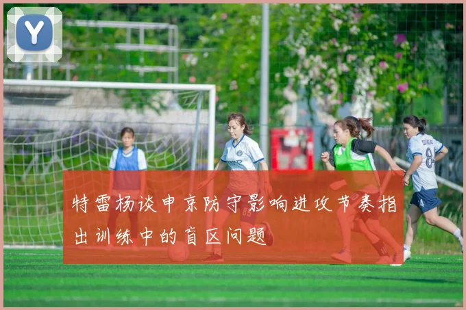 特雷杨谈申京防守影响进攻节奏指出训练中的盲区问题